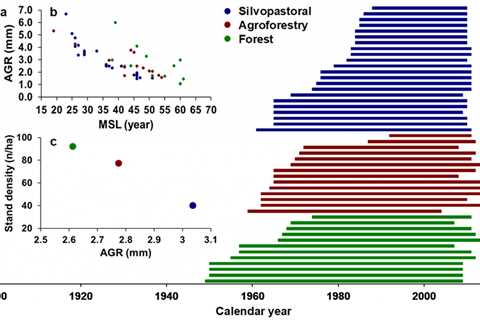 The Factors That Affect the Average Relationship Length - Priscilla Milan