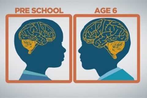 How baby brains develop