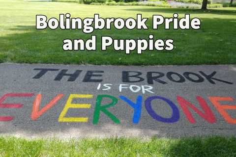 Bolingbrook Pride Saturday features animal rescue, transgender closet, kids’ fun, more