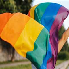 LGBT Youth in Central Missouri: Challenges and Solutions