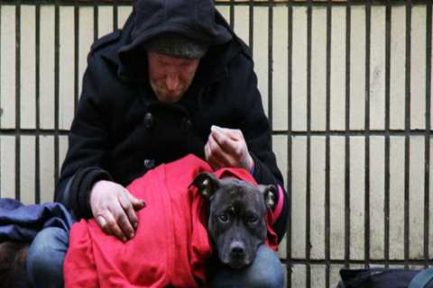 Supporting Homeless Veterans in Douglas County, Nebraska